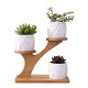 3Pcs Owl Succulent Pot Ceramic Garden Flower Planter Holder Bamboo Stand Sets 3Pcs Owl Succulent Pot Ceramic Garden Flower Planter Holder Bamboo Stand Sets