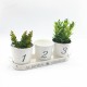 3pcs/Set Iron Bucket Flower Pot Tray Small Pots Herbs Planter Garden Window Pots 3pcs/Set Iron Bucket Flower Pot Tray Small Pots Herbs Planter Garden Window Pots