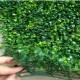 40x60cm Artificial Plant Wall Fence Vertical Garden Panel Decorations Foliage Hedge 40x60cm Artificial Plant Wall Fence Vertical Garden Panel Decorations Foliage Hedge