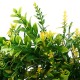 45CM Artificial Yellow Cherry Flower Wreath Garland Wedding Door Hanging Decorations 45CM Artificial Yellow Cherry Flower Wreath Garland Wedding Door Hanging Decorations