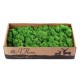 500g Natural Norwegian Reindeer Moss Preserved Dried Craft Preservation Flower Fairy Decorations DIY 500g Natural Norwegian Reindeer Moss Preserved Dried Craft Preservation Flower Fairy Decorations DIY