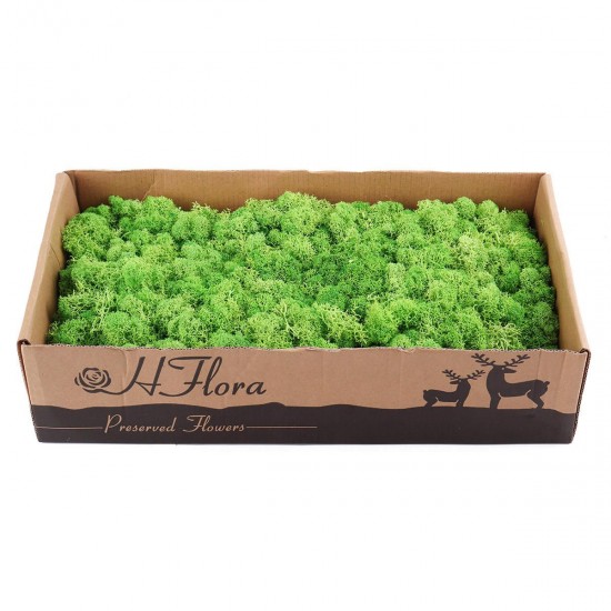 500g Natural Norwegian Reindeer Moss Preserved Dried Craft Preservation Flower Fairy Decorations DIY 500g Natural Norwegian Reindeer Moss Preserved Dried Craft Preservation Flower Fairy Decorations DIY