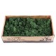 500g Natural Norwegian Reindeer Moss Preserved Dried Craft Preservation Flower Fairy Decorations DIY 500g Natural Norwegian Reindeer Moss Preserved Dried Craft Preservation Flower Fairy Decorations DIY