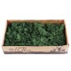 500g Natural Norwegian Reindeer Moss Preserved Dried Craft Preservation Flower Fairy Decorations DIY