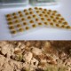 50Pcs Sand Table Artificial Grass Decorations Micro Landscape DIY Model Building Accessories 50Pcs Sand Table Artificial Grass Decorations Micro Landscape DIY Model Building Accessories