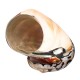6-9.5cm Natural African Turban Sea Shell Coral Conch Snail Home Fish Tank Decorations 6-9.5cm Natural African Turban Sea Shell Coral Conch Snail Home Fish Tank Decorations