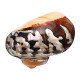 6-9.5cm Natural African Turban Sea Shell Coral Conch Snail Home Fish Tank Decorations 6-9.5cm Natural African Turban Sea Shell Coral Conch Snail Home Fish Tank Decorations