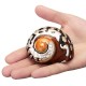 6-9.5cm Natural African Turban Sea Shell Coral Conch Snail Home Fish Tank Decorations 6-9.5cm Natural African Turban Sea Shell Coral Conch Snail Home Fish Tank Decorations