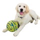 6 Inch Pet Dog Play Ball Training Chew With Funny Sound Toys Squeaky Giggle Ball