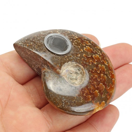 65MM Natural Ammonite Fossil Quartz Crystal Stone Pipe Healing With Carb Gifts Decorations