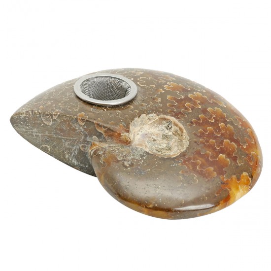 65MM Natural Ammonite Fossil Quartz Crystal Stone Pipe Healing With Carb Gifts Decorations 65MM Natural Ammonite Fossil Quartz Crystal Stone Pipe Healing With Carb Gifts Decorations