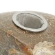 65MM Natural Ammonite Fossil Quartz Crystal Stone Pipe Healing With Carb Gifts Decorations