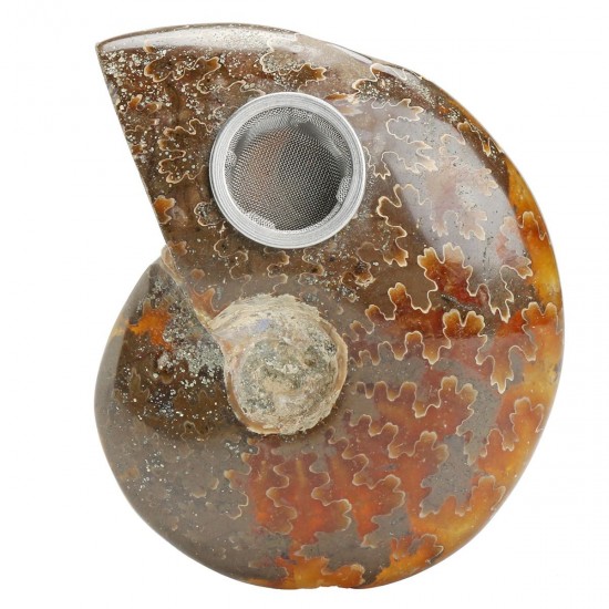 65MM Natural Ammonite Fossil Quartz Crystal Stone Pipe Healing With Carb Gifts Decorations 65MM Natural Ammonite Fossil Quartz Crystal Stone Pipe Healing With Carb Gifts Decorations