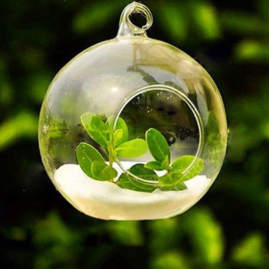 6Pcs Round Glass Hanging Candle Tea Light Globe Holder Candlestick Party Home Wedding Decor 10cm 6Pcs Round Glass Hanging Candle Tea Light Globe Holder Candlestick Party Home Wedding Decor 10cm