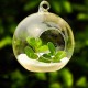 6Pcs Round Glass Hanging Candle Tea Light Globe Holder Candlestick Party Home Wedding Decor 10cm 6Pcs Round Glass Hanging Candle Tea Light Globe Holder Candlestick Party Home Wedding Decor 10cm