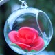 6Pcs Round Glass Hanging Candle Tea Light Globe Holder Candlestick Party Home Wedding Decor 10cm 6Pcs Round Glass Hanging Candle Tea Light Globe Holder Candlestick Party Home Wedding Decor 10cm