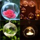 6Pcs Round Glass Hanging Candle Tea Light Globe Holder Candlestick Party Home Wedding Decor 10cm 6Pcs Round Glass Hanging Candle Tea Light Globe Holder Candlestick Party Home Wedding Decor 10cm