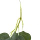 70'' Artificial Eucalyptus Garland Faux Silk Vines Leave Leaf Green Wedding Decor Supplies 70'' Artificial Eucalyptus Garland Faux Silk Vines Leave Leaf Green Wedding Decor Supplies