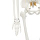 85cm Lifesize Detachable Human Skeleton Bone Model Removable Arms Legs w Stand Anatomical Model Decorations