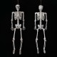 90cm Human Skeleton Scary Bones Poseable Hanging Halloween Prop Party Decorations