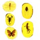 Amber Fossil Insects Dragonfly Manual Polishing Insect Specimen Pendant Craft Decorations Amber Fossil Insects Dragonfly Manual Polishing Insect Specimen Pendant Craft Decorations