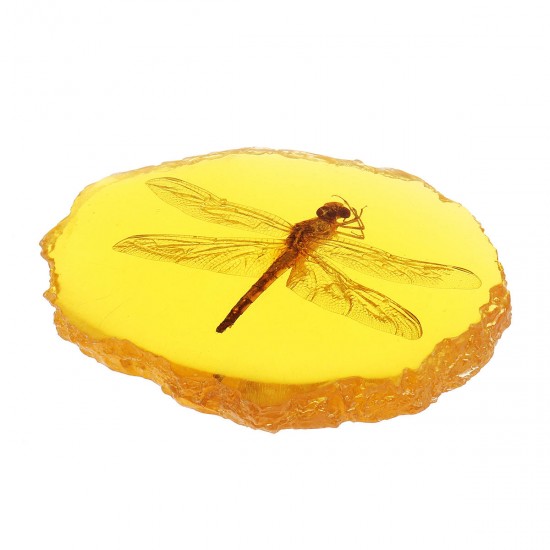 Amber Fossil Insects Dragonfly Manual Polishing Insect Specimen Pendant Craft Decorations Amber Fossil Insects Dragonfly Manual Polishing Insect Specimen Pendant Craft Decorations
