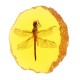 Amber Fossil Insects Dragonfly Manual Polishing Insect Specimen Pendant Craft Decorations Amber Fossil Insects Dragonfly Manual Polishing Insect Specimen Pendant Craft Decorations