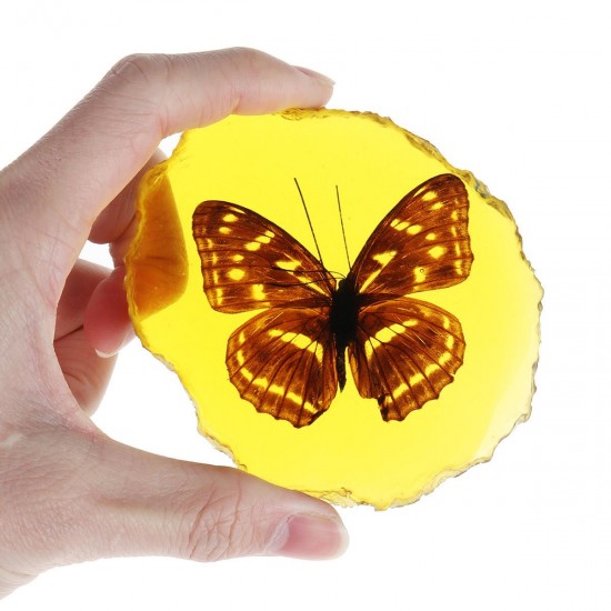 Amber Fossil Insects Dragonfly Manual Polishing Insect Specimen Pendant Craft Decorations Amber Fossil Insects Dragonfly Manual Polishing Insect Specimen Pendant Craft Decorations