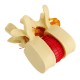 Anatomical Human Skeleton Spine Lumbar Vertebrae Degenerative Disc Medical Model Anatomical Human Skeleton Spine Lumbar Vertebrae Degenerative Disc Medical Model