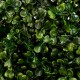 Artificial Green Grass Ball Topiary Hanging Garland Home Yard Wedding Decorations Artificial Green Grass Ball Topiary Hanging Garland Home Yard Wedding Decorations