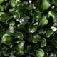 Artificial Green Grass Ball Topiary Hanging Garland Home Yard Wedding Decorations Artificial Green Grass Ball Topiary Hanging Garland Home Yard Wedding Decorations