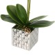 Artificial Plant Butterfly Orchid Flower Pot Home Wedding Party Home Decorations