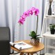 Artificial Plant Butterfly Orchid Flower Pot Home Wedding Party Home Decorations
