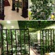 Artificial Vines Grape Leaves Green Leafy Plants Ceiling Decoration Pipes To Block Vine Creepers Artificial Vines Grape Leaves Green Leafy Plants Ceiling Decoration Pipes To Block Vine Creepers
