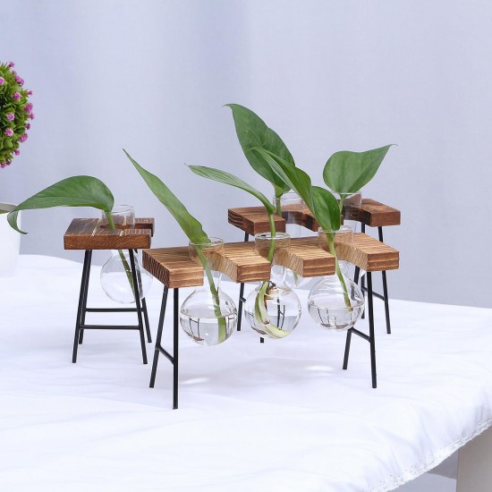Ball Shape Glass Vase Plant Hydroponic Container Flower Bottle Table Desk Decor with Wooden Shelf Stand