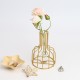 Black/Gold Nordic Style Iron Hydroponic Flower Lantern-shaped Vase Decoration Black/Gold Nordic Style Iron Hydroponic Flower Lantern-shaped Vase Decoration