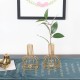 Black/Gold Nordic Style Iron Hydroponic Flower Lantern-shaped Vase Decoration Black/Gold Nordic Style Iron Hydroponic Flower Lantern-shaped Vase Decoration