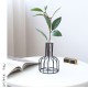 Black/Gold Nordic Style Iron Hydroponic Flower Lantern-shaped Vase Decoration Black/Gold Nordic Style Iron Hydroponic Flower Lantern-shaped Vase Decoration