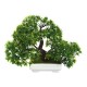 Bonsai Tree with Pot Artificial Plant Decoration for Home Office Desk 18cm Bonsai Tree with Pot Artificial Plant Decoration for Home Office Desk 18cm