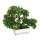 Bonsai Tree with Pot Artificial Plant Decoration for Home Office Desk 18cm Bonsai Tree with Pot Artificial Plant Decoration for Home Office Desk 18cm