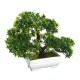 Bonsai Tree with Pot Artificial Plant Decoration for Home Office Desk 18cm