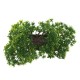 Bonsai Tree with Pot Artificial Plant Decoration for Home Office Desk 18cm