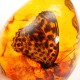 Butterfly Amber Resin Amber Butterfly Insect Stone Pendant Necklace Gift Decorations