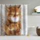 Cat Printing Waterproof Bathroom Shower Curtain Toilet Cover Mat Set