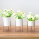 Ceramic Flower Plant Succulent Pot Indoor Rack Garden Display Stand Planter Holder Decor Ceramic Flower Plant Succulent Pot Indoor Rack Garden Display Stand Planter Holder Decor