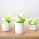 Ceramic Flower Plant Succulent Pot Indoor Rack Garden Display Stand Planter Holder Decor Ceramic Flower Plant Succulent Pot Indoor Rack Garden Display Stand Planter Holder Decor