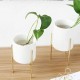Ceramic Flower Plant Succulent Pot Indoor Rack Garden Display Stand Planter Holder Decor Ceramic Flower Plant Succulent Pot Indoor Rack Garden Display Stand Planter Holder Decor
