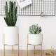 Ceramic Flower Plant Succulent Pot Indoor Rack Garden Display Stand Planter Holder Decor Ceramic Flower Plant Succulent Pot Indoor Rack Garden Display Stand Planter Holder Decor