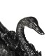 Chinese Tea Pet Color Change Resin Black Swan Tea Play Tray Ornaments Animal Chinese Tea Pet Color Change Resin Black Swan Tea Play Tray Ornaments Animal