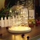 Clear Glass Display Dome Cloche Bell Jar Wooden Base DIY Decorations With 20 LED Fairy String Light Clear Glass Display Dome Cloche Bell Jar Wooden Base DIY Decorations With 20 LED Fairy String Light